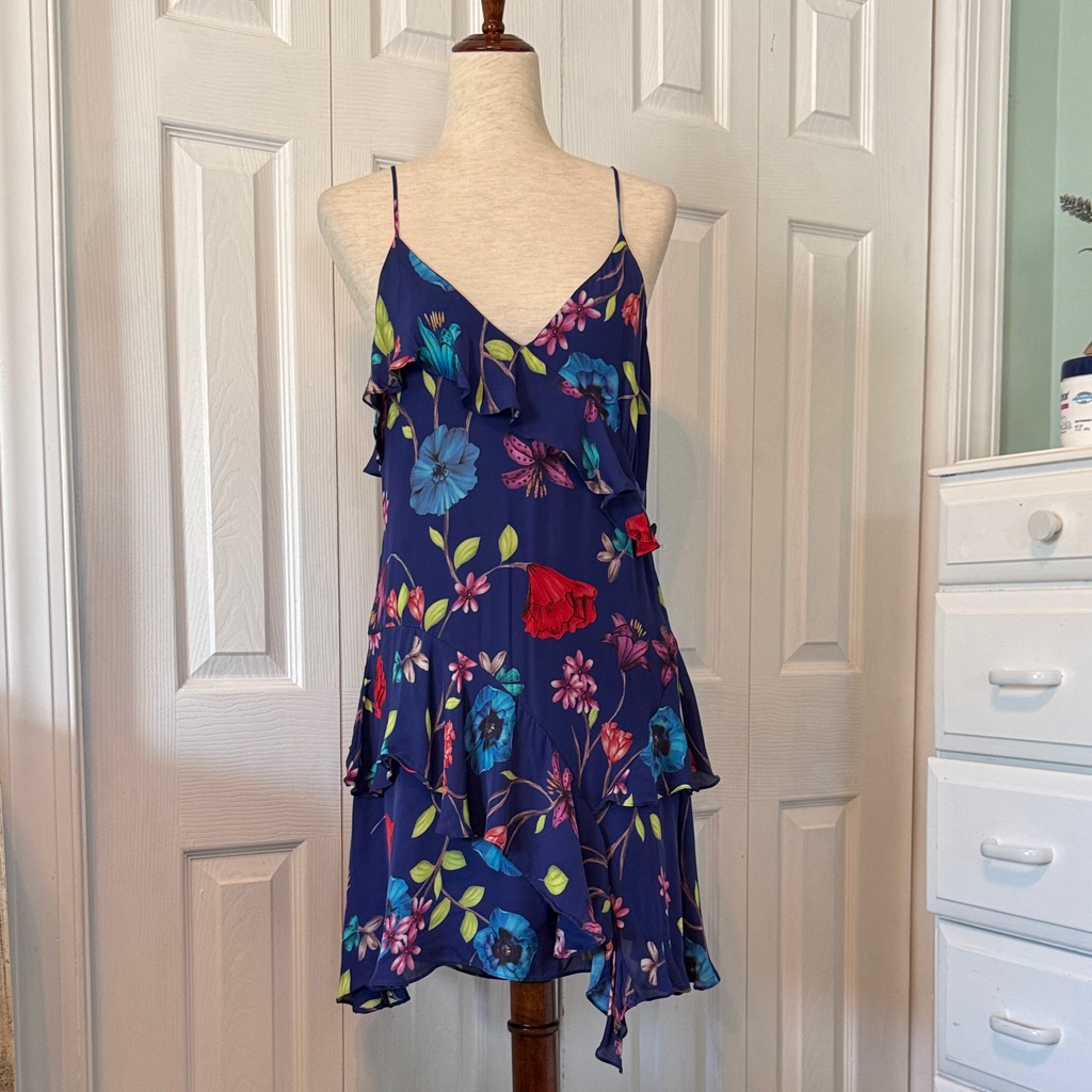 Parker Blue Valencia Erica Dress Sz 6